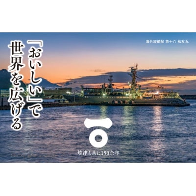 焼津発!うめぇもん冷凍四種食べ比べ　Aセット(a10-1049)