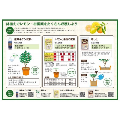 レモン・果樹栽培資材セット(a12-192)
