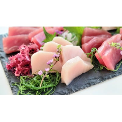 天然びんとろサク 約1.2kg業務用(a10-1048)