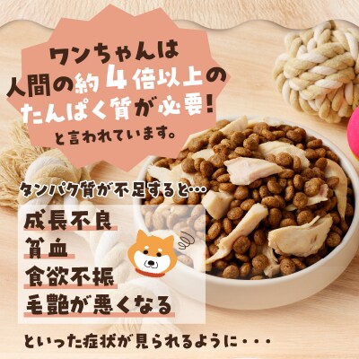 わんこ様用5点セット(a10-1057)