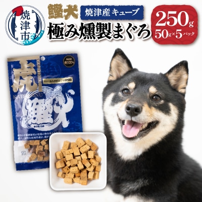 無添加 犬用 おやつ「鰹犬」焼津産燻製まぐろキューブ5袋(a10-1094)