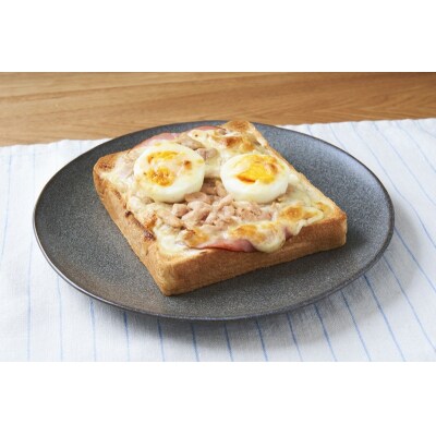 オイル不使用シーチキンL(a30-290)