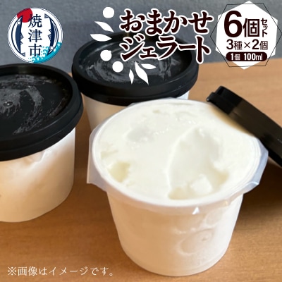 おまかせジェラート100ml×6個セット(a10-1130)