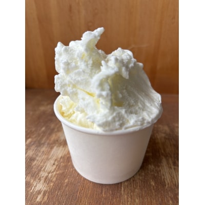 おまかせジェラート100ml×6個セット(a10-1130)