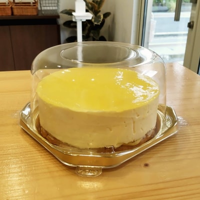 レモンチーズケーキ(a10-1141)