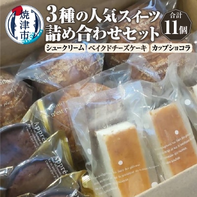 人気スイーツ詰め合わせセット 3種 11個(a10-1142)