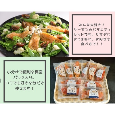 サーモンの漬丼バラエティセット(10P入)(a15-642)