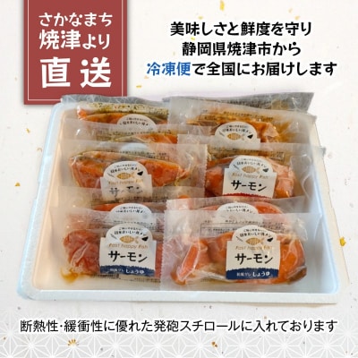 サーモンの漬丼バラエティセット(10P入)(a15-642)