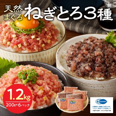 静岡県焼津発!まぐろ問屋のカンタン解凍グルメねぎとろ3種1.2Kgセット! SF5(a11-136)