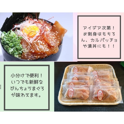 びんちょうまぐろの切落し生食用10Pセット(a10-1138)