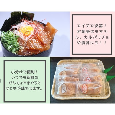 まぐろ&かじきの切落し生食用10Pセット(a10-1139)