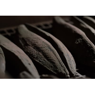 焼津産 鰹本節 本枯節 仕上節 1kg(雄節 雌節 混合)(a21-066)