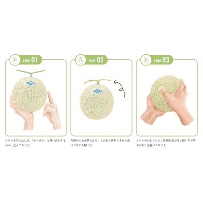 メロン 温室 アローマ 果物 ハウス 白等級 1玉 GABA(a16-148)