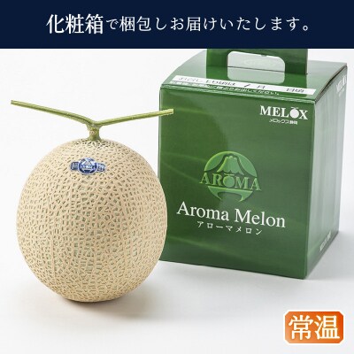 メロン 温室 アローマ 果物 ハウス 白等級 1玉 GABA(a16-148)