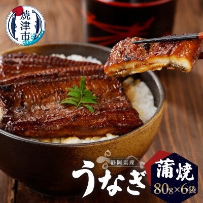 静岡県産 うなぎ 蒲焼 真空 パック 80g×6(a27-011)