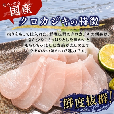 (新)国産 天然カジキ切り落とし 約100g×10パック(a10-1162)