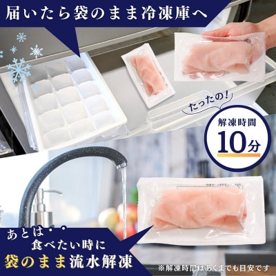 (新)国産 天然カジキ切り落とし 約100g×10パック(a10-1162)