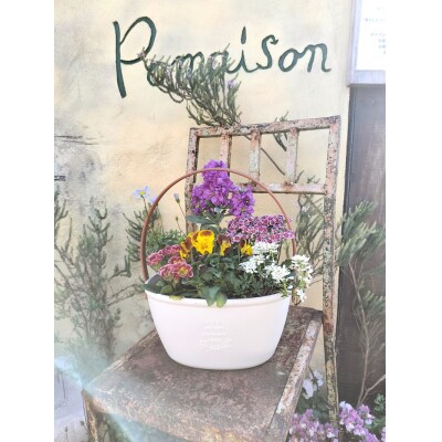 季節のおまかせ寄せ植えバスケット(a10-1174)