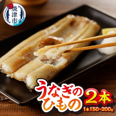 珍しい「ウナギのひもの」【静岡産】(a15-647)