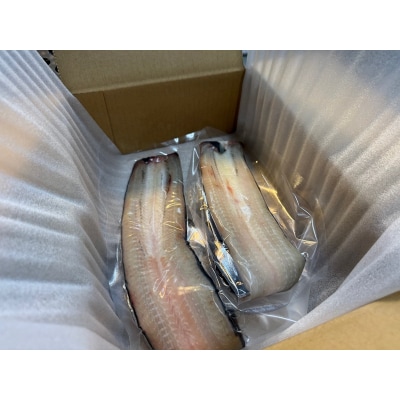 珍しい「ウナギのひもの」【静岡産】(a15-647)