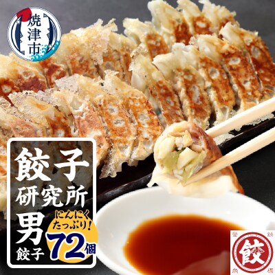 餃子研究所　男餃子×6パック(a11-146)