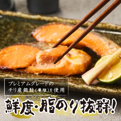 銀鮭西京漬(a15-658)