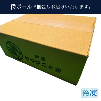 【焼津ひもの食堂】焼いてあるひもの4種7枚(a15-671)