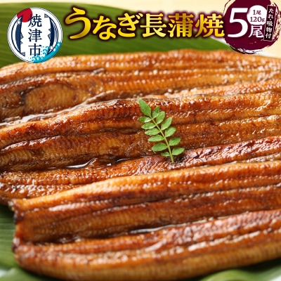 Ȃ120g×5A(Rt)AzZbg(a30-307)