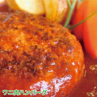 クロコダイル カレー ハンバーグ 動物園 イズー(a13-008)