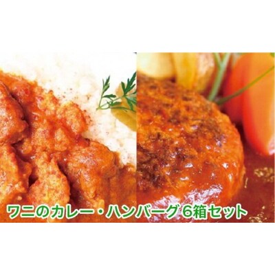 クロコダイル カレー ハンバーグ 動物園 イズー(a13-008)