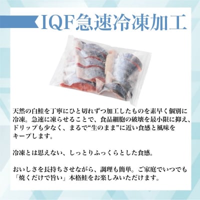 訳あり ! 鮭 切身 1.2kg(便利なジッパーパック入り)(a10-1177)