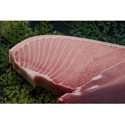 天然 南マグロ ブーメラン 約300g(a11-158)