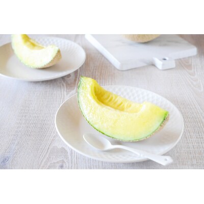 静岡マスクメロン【1玉】(白)(a10-342)