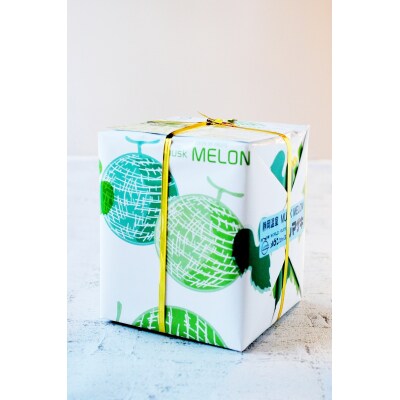 静岡マスクメロン【1玉】(白)(a10-342)