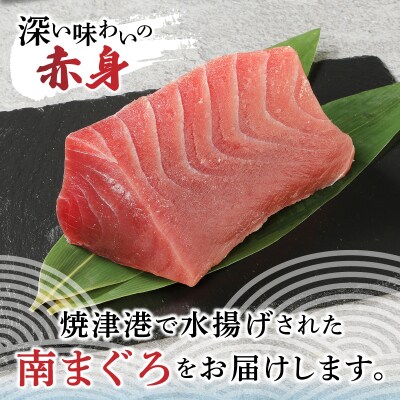 焼津港水揚げ ・南まぐろ(a10-430)