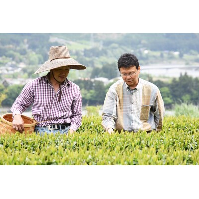 花香の煎茶 ミルフルール 30g×5袋(a12-046)