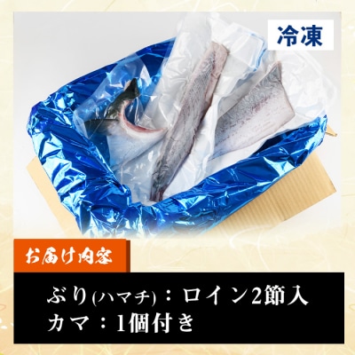 鹿児島県産養殖ぶり(ハマチ)の切り身「ロイン2節・カマ1個付」合計約1kg!