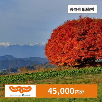 【じゃらんふるさと納税クーポン】 長野県麻績村でつかえる45,000円 クーポン