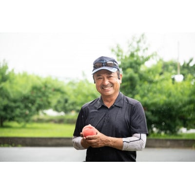 もも農家ヤマシタ　桃の産地山梨から直送　約3kg　