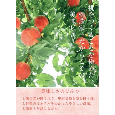 先行受付!【2026年7月発送開始】もも農家ヤマシタ　桃の産地山梨から直送　2kg　