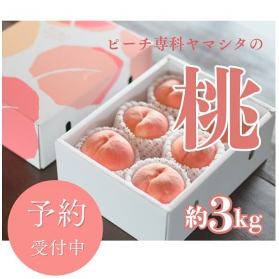 先行受付!【2026年7月発送開始】桃の産地山梨からお届け　ピーチ専科ヤマシタの桃　3kg