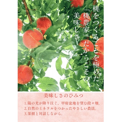 先行受付!【2026年7月発送開始】桃の産地山梨からお届け　ピーチ専科ヤマシタの桃　1kg