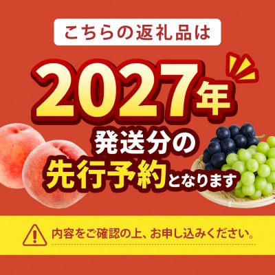 【2027年発送　先行受付】桃の産地山梨からお届け　ピーチ専科ヤマシタの桃　1kg