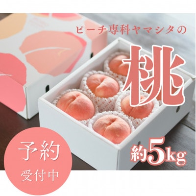 先行受付!【2026年7月発送開始】桃の産地山梨からお届け　ピーチ専科ヤマシタの桃　5kg