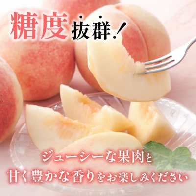 2026年 先行受付【期間限定 感謝企画】山梨旬の桃 約2kg(5～7玉)