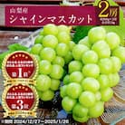 【2026年発送 先行受付】シャインマスカット 2房 (約1kg) 山梨県産フルーツ 人気のぶどう