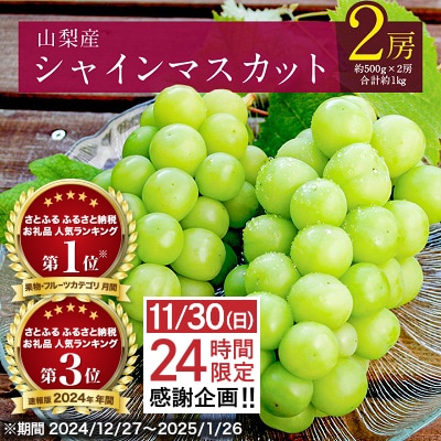 【期間限定 感謝企画】 2026年発送 シャインマスカット 2房 (約1kg) 山梨県産フルーツ