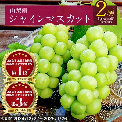 【2026年発送 先行受付】シャインマスカット 2房 (約1kg) 山梨県産フルーツ 人気のぶどう