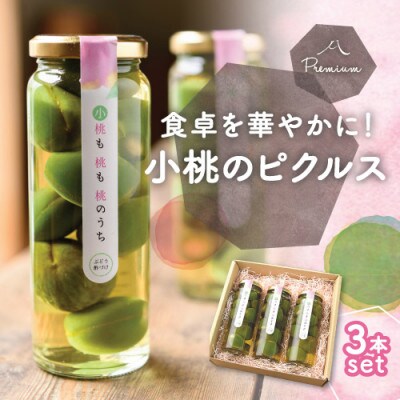 【2025年3月中旬発送】前菜やワインのお供に!桃のピクルス「小桃も桃も桃のうち」3本ギフト