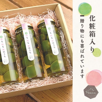 【2025年3月中旬発送】前菜やワインのお供に!桃のピクルス「小桃も桃も桃のうち」3本ギフト